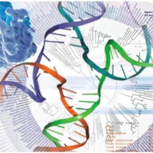 Bioinformatics analysis of biological sequences 20-21